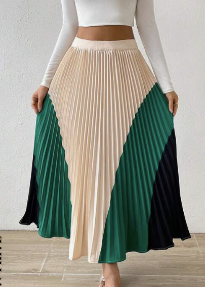 SHEIN Privé Colorblock Pleated Skirt